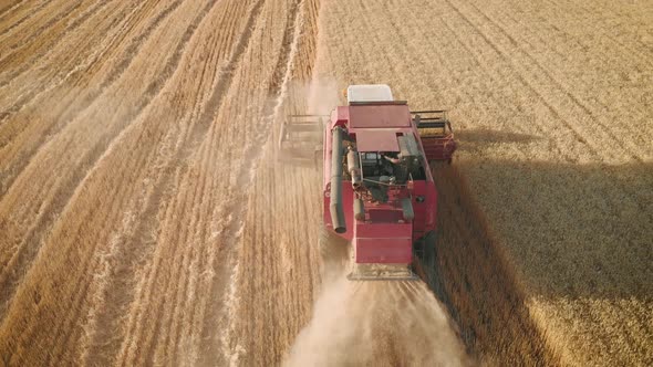Aerial View Red Harvester Working in the Field. Combine Harvester Agricultural Machine Collecting alt