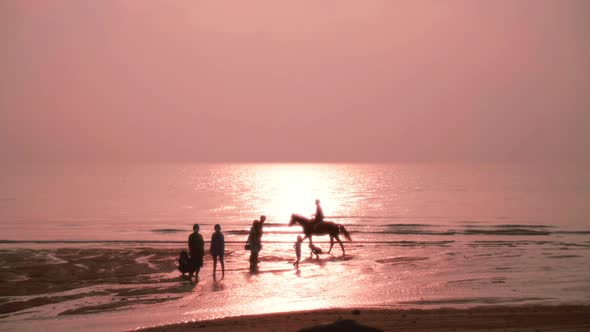 A family walks along the beach, a rider rides a horse at sunrise. Slow motion.