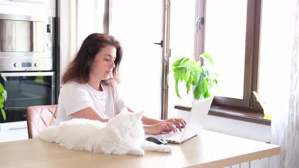 A Female Freelancer is Sitting in an Armchair at a Table with Plants Remotely Working on a Laptop in