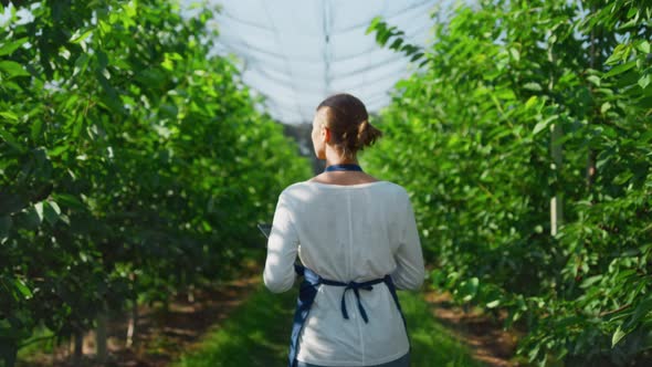Woman Agro Specialist Inspecting Plants Growth in Warm Greenhouse with Tablet alt
