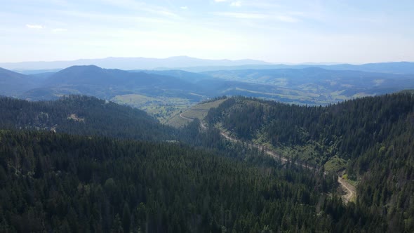 Aerial Drone View Flight Over Pine Tree Forest in Mountain alt