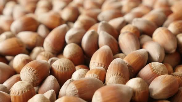 Organic hazelnuts on the table slow tilt  4K 2160p 30fps UHD footage - Filberts of Corylus avellana  alt