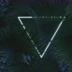 Lighten Neon Triangle Shape Covered By Palm Leaves - VideoHive Item for Sale