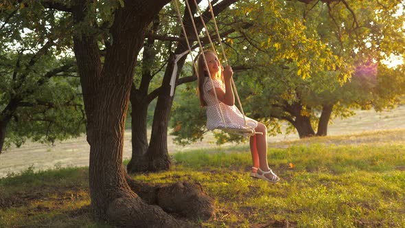 Child Swinging on a Swing in Park in Sun, Young Girl Swinging on Rope Swing on an Oak Branch alt