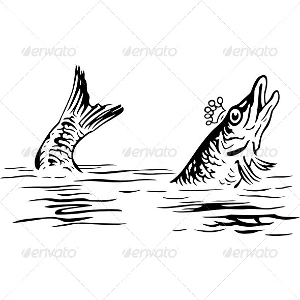 King Fish - Animals Characters