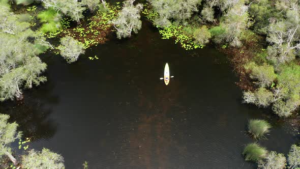 Tourists Canoe or kayak in mangrove forests at Rayong Botanical, Thailand.