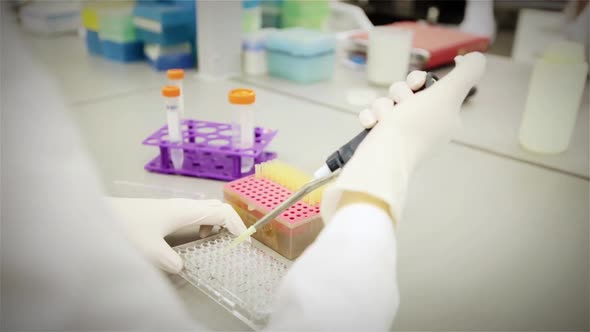Scientist working in the Laboratory. alt
