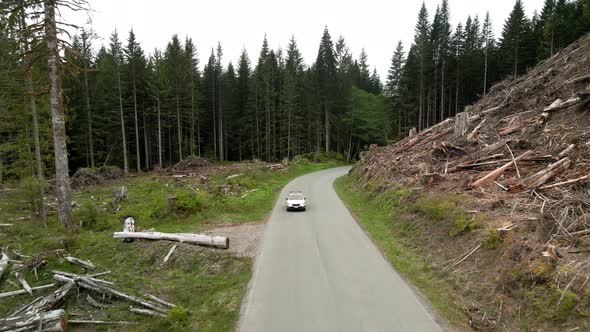 A single white SUV drives through a recently clear cut forest area, aerial track back alt