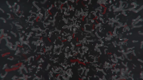 3D animated bacterial background