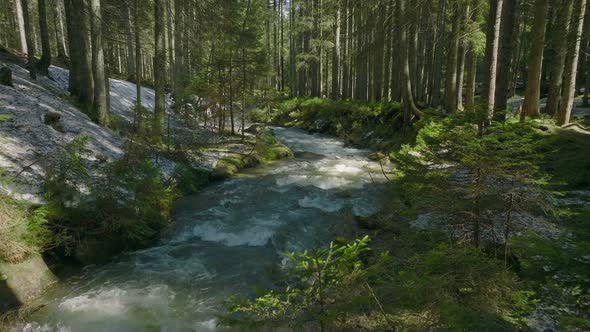 River Forest Water Nature Sun Snow Grass Green Wood Tree Magic Ice Clean alt