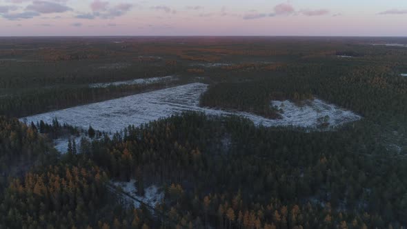 Forest and Deforestation Area at Sunset Aerial View alt