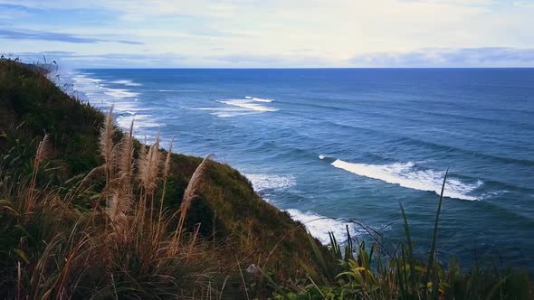 New Zealand coast alt
