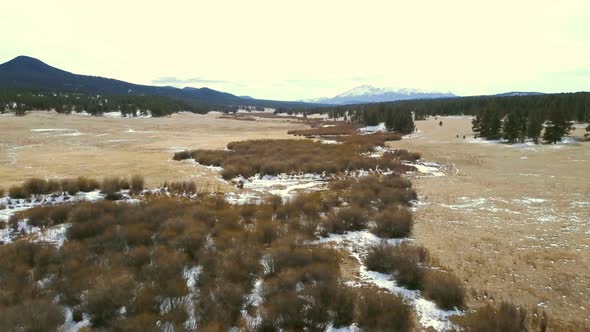 Aerial view of Pikes National Forest in the Winter alt