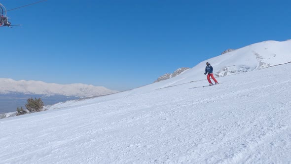 Skier Riding Freeride on Ski From Snowy Slope in Winter Mountain Pine Forest