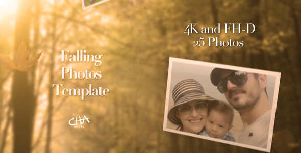 Photo Gallery Falling - VideoHive 6068913