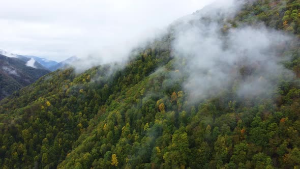 Misty Autumn Mountain Aerial View alt