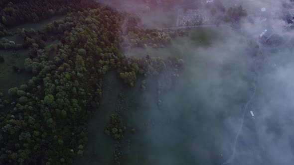 Top View Vanishing Fog in the Valley Under the Green Spring Forest