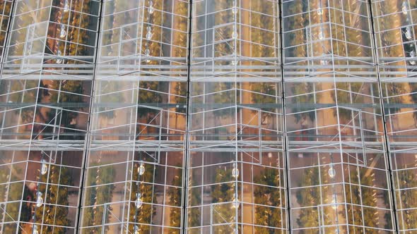 Transparent Roofs of Long Contemporary Greenhouses Aerial alt