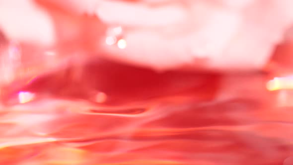 Slow Motion Closeup Pink Water Drop Splashing on Blurred Rose Flower Background alt