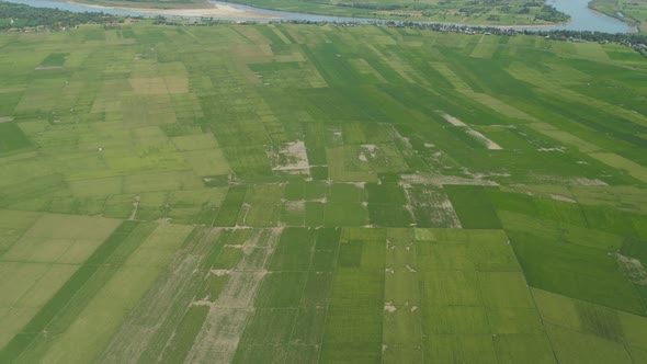 Landscape with Rice Terrace Field. Philippines, Luzon alt