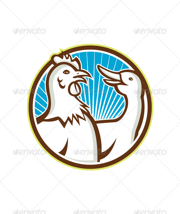 Chicken With Goose Cartoon - Animals Characters