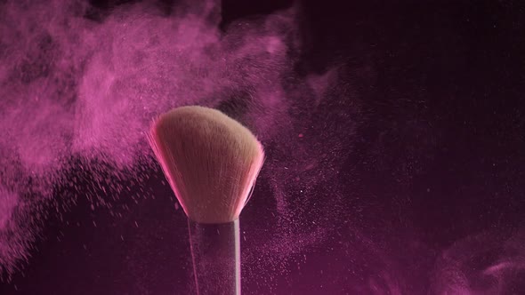 Makeup Brushes Touch Each Other on Dark Background and Small Particles of Cosmetics Slow Motion