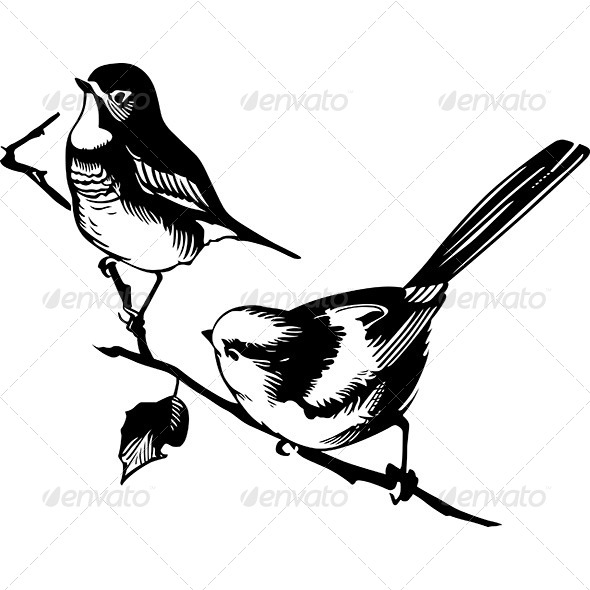Birds on the Branch - Animals Characters