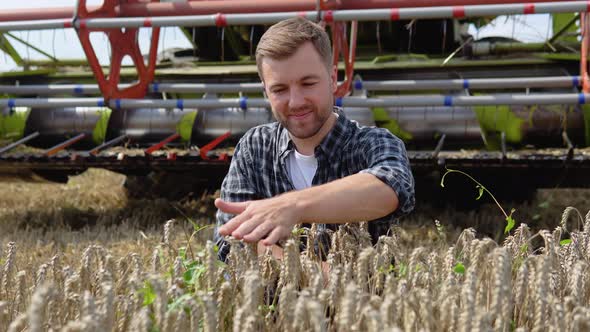 Happy Young Farmer Sits on Wheat Field with a Combine Harvester in Background alt