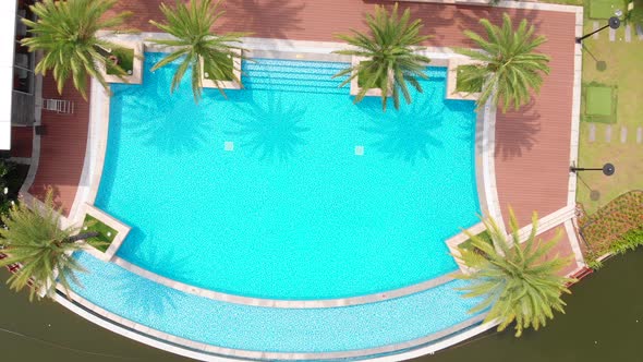 Aerial Drone Flight on a Bright Sunny Summer Day Against the Backdrop of a Beautiful Pool with Palm alt