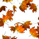 Maple Leaf Falling Transition - VideoHive Item for Sale