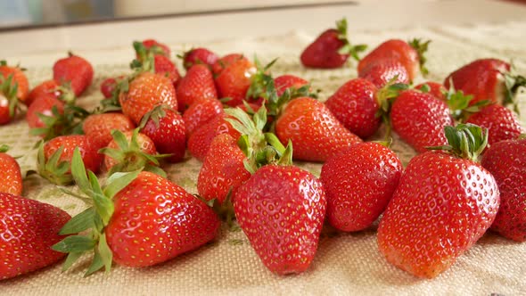 Ripe Juicy Sweet Berries of Red Strawberries with Green Ponytails are Scattered on the Table