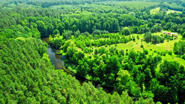 Green forest and river in summer, aerial view, Poland alt
