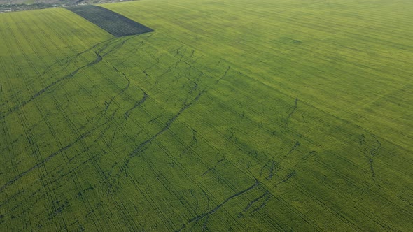 Agricultural Land Natural Disasters alt