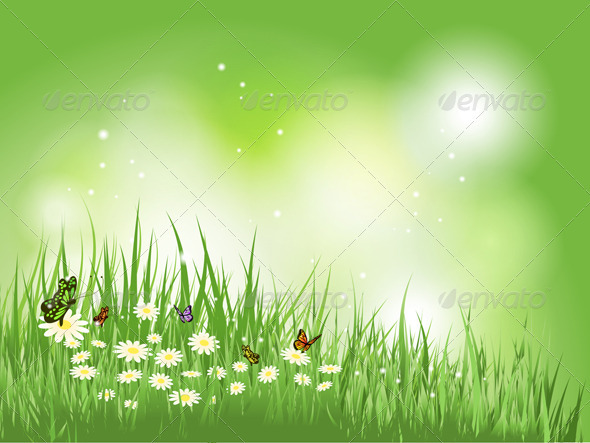 Butterflies and flowers in grass - Nature Conceptual