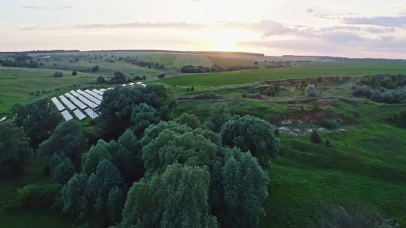 Aerial Video Filming Agriculture Field Sunset Dawn