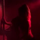 Two Sexy Girls Dance a Striptease Near the Pole - VideoHive Item for Sale