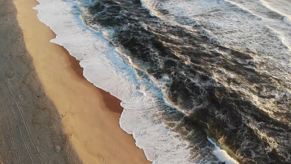 Flight on the Ocean Sandy Shore in the Early Morning Portugal Furadouro alt