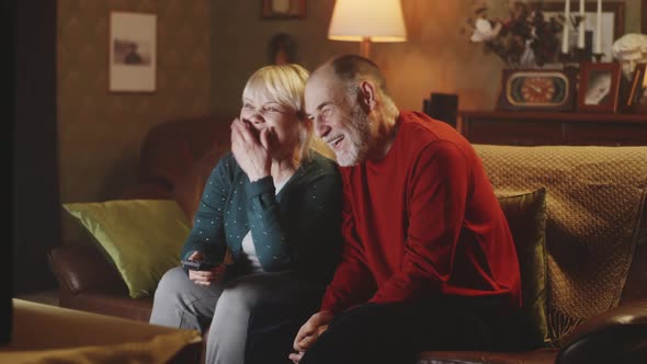 Optimistic Senior Husband and Wife Discussing Comedy alt