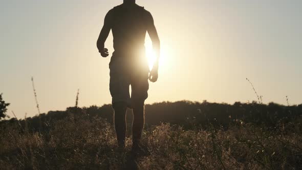 Silhouette of Young Man Walking in Field To Setting Sun and Raising Hands Up alt