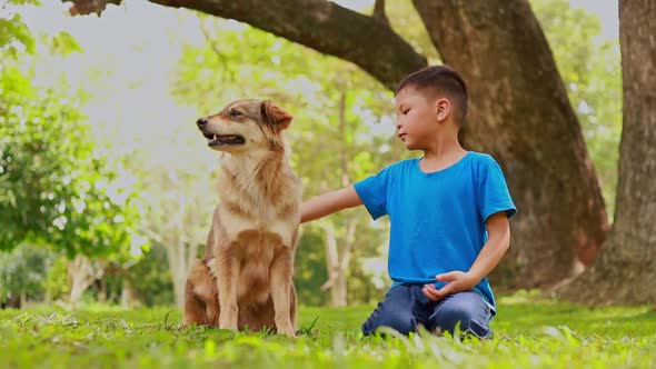 child playing with dog in the park