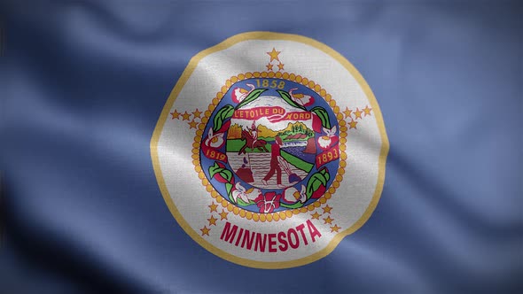 Minnesota State Flag Front