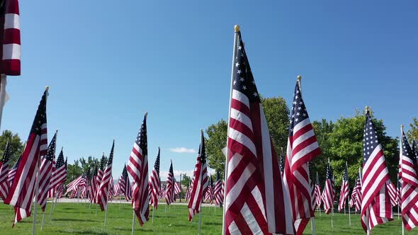 Walking through display of American Flags at a park alt