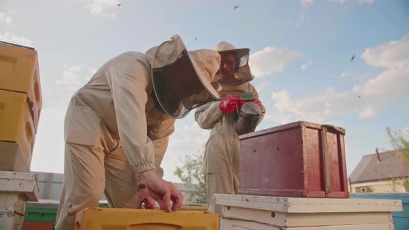 A Couple of Beekeepers Takes Out the Frame with Honey From a Bee Hive