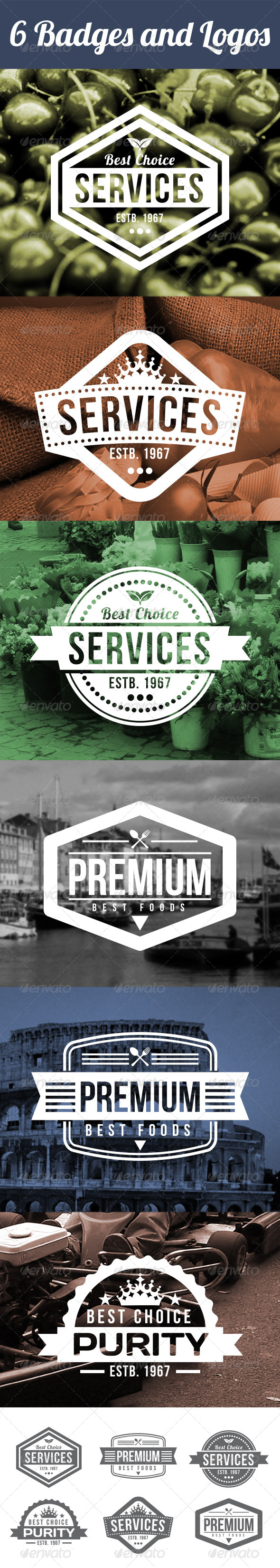 06 Badges and Logos Vol 1 - Badges & Stickers Web Elements