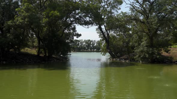 Picturesque lake on a sunny summer day alt