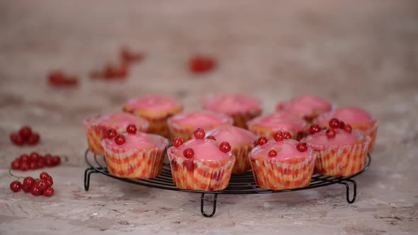 Woman decorated a tasty muffins With Red Currants Berries. alt