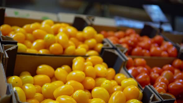 Woman Choosing Yellow Tomatoes From Box in Supermarket