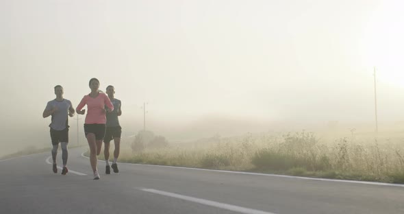 Multiethnic Group of Athletes Running Together on a Panoramic Countryside Road alt
