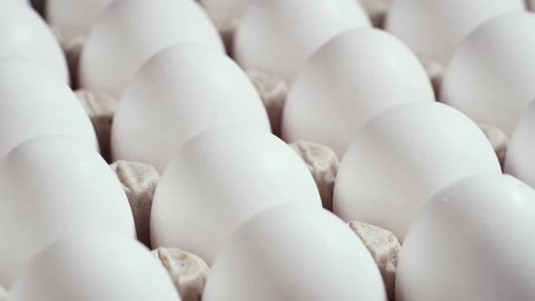 Eggs in a Cardboard Box Rotation Shot Chicken White Fresh Raw Eggs in an Egg Container alt
