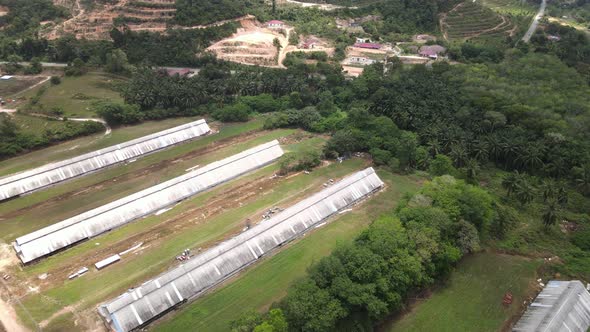 Aerial view of breeder farm's roof and jungle in Alor Gajah, Malacca